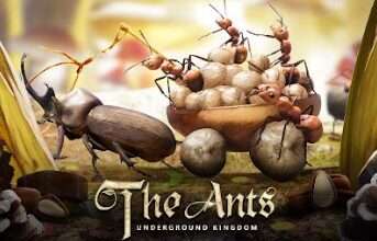 The Ants Hile